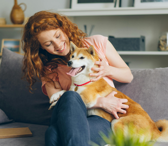 Get Rid of Fleas Naturally: Your Guide to Safe DIY Pet Treatments
