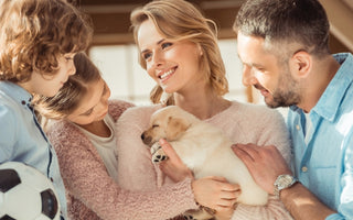 Welcoming a New Dog: Essential Tips for a Smooth Transition into Your Home