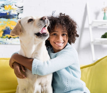 Happy girl hugging her Labrador Retriever on a yellow couch.
