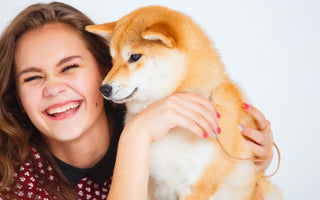 How to spend Quality Time with your dog despite busy Schedule