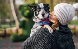 What Animals are Best for Emotional Support?