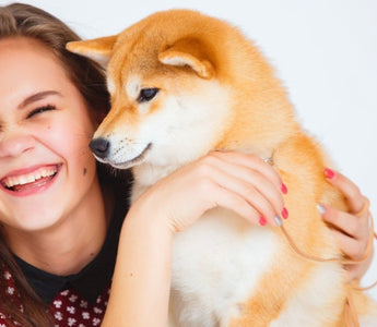 Happy young woman cuddling her Shiba Inu puppy.