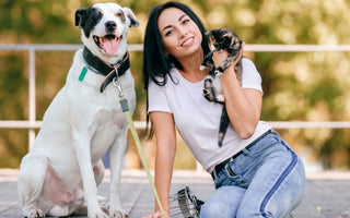 What Makes Dogs Happy?