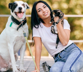 What Makes Dogs Happy?