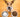 Hungry Jack Russell Terrier sits between bowl of dog food and water bowl.