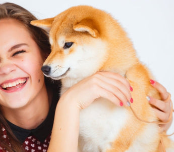 Happy young woman cuddling an adorable Shiba Inu puppy.