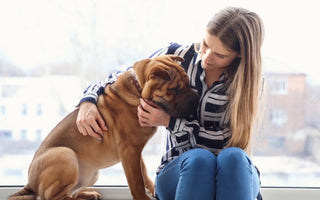 Top 10 Signs to identify your Dog is not Well