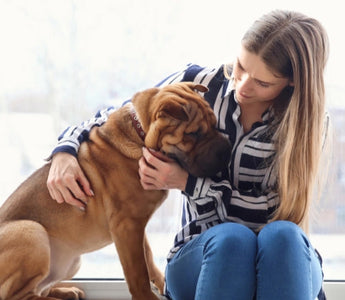 Young woman cuddling her adorable Shar-Pei puppy by a window.