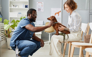 Bladder Stones in Dogs: Types, Symptoms & Treatment