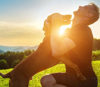 Dog and a Man playing on a grass field during sunrise