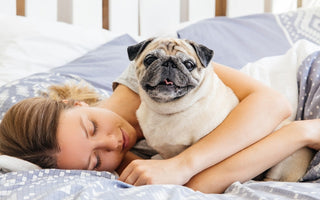 10 Benefits of Sleeping with your Dog
