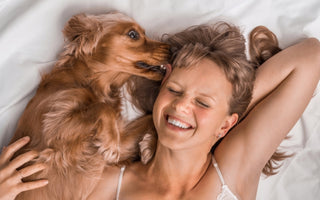 Why Do Dogs Like to Be in the Owner's Bed?