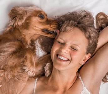 Happy woman cuddling with her cocker spaniel dog in bed.