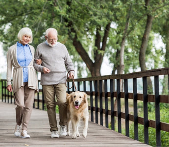 Happy senior couple walking their Golden Retriever on a wooden bridge.