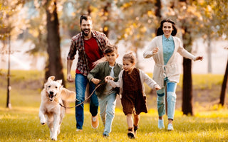 5 Fun Fall Activities To Do With Your Pets