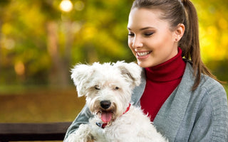 Happy woman cuddling a fluffy white dog in an autumn park.
