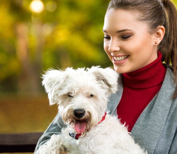 Happy woman cuddling a fluffy white dog in an autumn park.