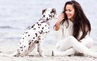 Can a Dog Sense Human Emotions ?