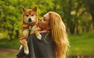 10 Ways to Make your Dog’s Life Better