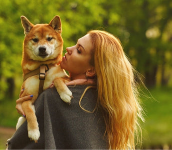 Woman cuddling Shiba Inu dog outdoors
