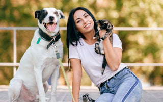 Unlock your Pup's Natural Intelligence