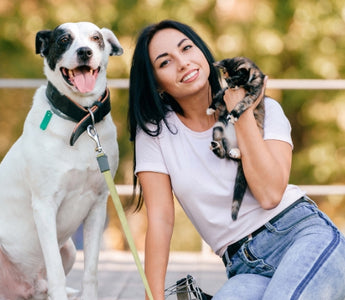 Unlock your Pup's Natural Intelligence