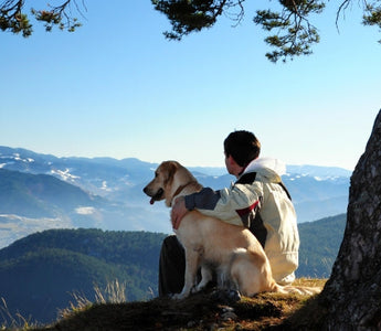 Man and Golden Retriever dog enjoy mountain view