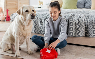 A Dog Owners Guide to Canine First Aid Care