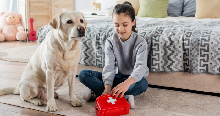 Canine First Aid Kit: Essential Supplies & Tips for Dog Emergencies
