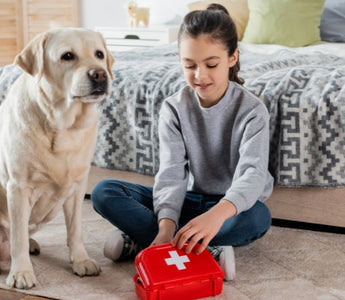 Girl with Labrador dog and pet first-aid kit