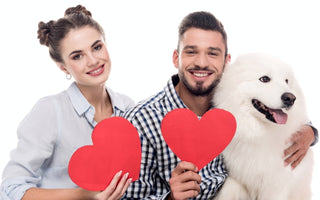 5 Ways to Make Valentine's Day Special for Your Dog
