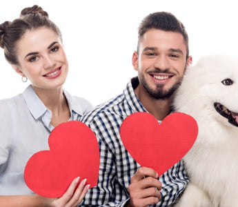 5 Ways to Make Valentine's Day Special for Your Dog