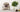 Adorable Pomeranian puppy with CBD oil and hemp leaves