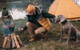 Dangers of Smoke Inhalation in Dogs