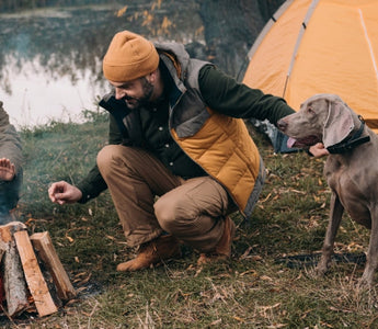Father and son warming hands by campfire with their Weimaraner dog near a tent.