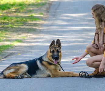 Young woman crouching down to pet her German Shepherd dog on a path.