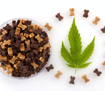 CBD dog treats and hemp leaf.  Pet CBD products.