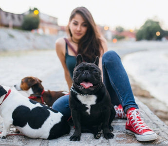 Woman sitting with three dogs: a French Bulldog, Jack Russell, and Beagle mix, by a river.