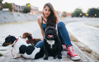 Woman sitting with three dogs: a French Bulldog, Jack Russell, and Beagle mix, by a river.