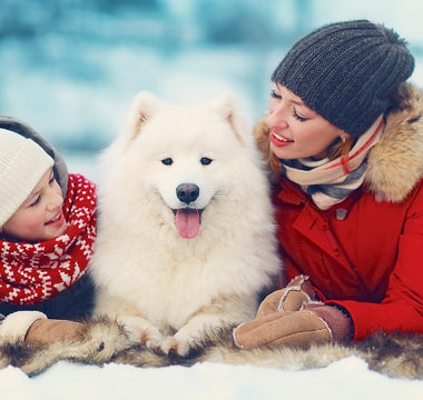 Winter Woofs: 7 Tips to Keep Your Pup Cozy and Warm