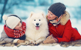 Happy family snuggles Samoyed dog in snowy winter scene.