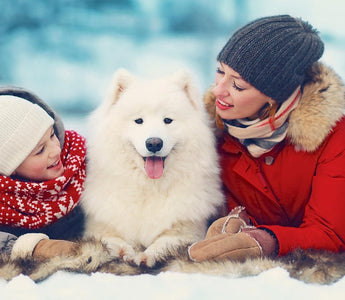 Happy family snuggles Samoyed dog in snowy winter scene.