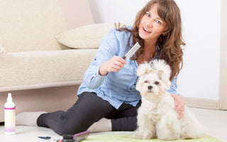 7 Effective Tips to Control Excess Dog Hair