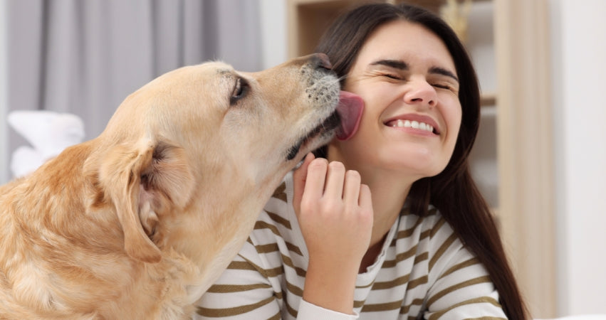 How to Stop Your Dog from Licking Your Face – Nurture Your Pet