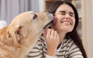How to Stop Your Dog from Licking Your Face