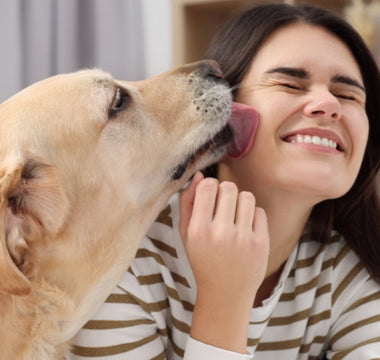 How to Stop Your Dog from Licking Your Face