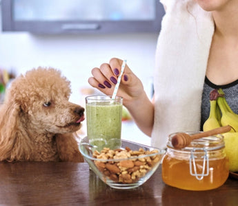 Woman enjoying a healthy green smoothie with nuts and honey, dog nearby