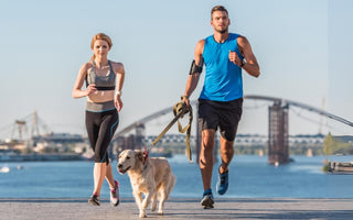 Helping Your Dog Shed Pounds: Effective Strategies for Canine Weight Loss