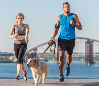 Fit couple jogging with golden retriever dog by the river