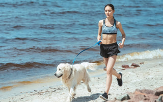 How to know if your Dog needs more Exercise